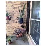 Swirl Plant Stand with Plants