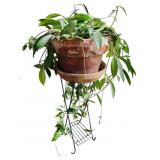 Houseplant on Stand