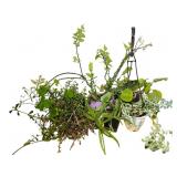Assortment of House Plants