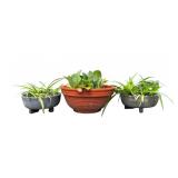 Potted Plants