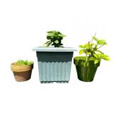 Potted Plants