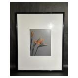 Bird of Paradise Matted and Framed Wall Hanging