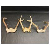 3 Skull Cap Mounts with Deer Antlers