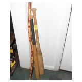 BATS AND WALKING STICK BATS AND WALKING STICK