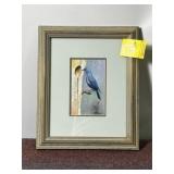FRAMED BLUE BIRD PICTURE, JOHNSTON, 10" X 8 1/4"