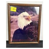 FRAMED BALD EAGLE PICTURE, SIGNED, 12" X 15"