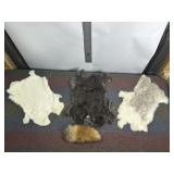 2 RABBIT PELTS & 1 FOX TAIL