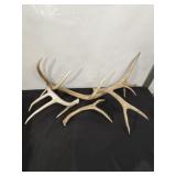 MISC ANTLERS, NO MATCHING SETS, ELK & DEER