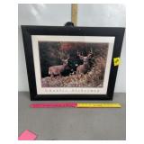 CHARLES ALSHEIMER FRAMED WHITE TAIL PICTURE
