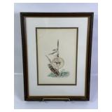 J. FULLER ORIGINAL FRAMED WATERCOLOR, SPEAR & SHEL