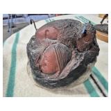 C.P. WOOD ROCK CARVED CHIEF & BUFFALO ART