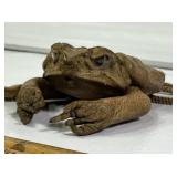 NOVELTY TAXIDERMY CANE TOAD POUCH