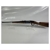 SAVAGE .22 LEVER ACTION RIFLE