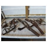 6 TRAPS, SOME VICTOR