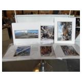 SEVERAL MATTED TREE PICTURES, AND PROOFS