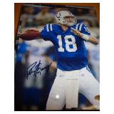PEYTON MANNING 8"X10" W / CERT