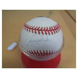 SIGNED BASEBALL / NO CERT / UNKNOWN