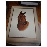 LOT OF 16X12 CANNONADE PRINTS