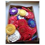 LOT OF HORSE SHOW RIBBONS