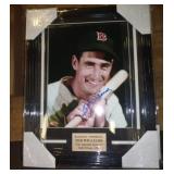 20X16 FRAMED W CERT / TED WILLIAMS 20X16 FRAMED W CERT / TED WILLIAMS