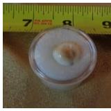 INDIAN GOMTI CHAKRA NATURAL 6.75 CT INDIAN GOMTI CHAKRA NATURAL 6.75 CT