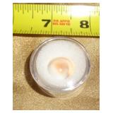 INDIAN GOMTI CHAKRA NATURAL 6.7 CT INDIAN GOMTI CHAKRA NATURAL 6.7 CT