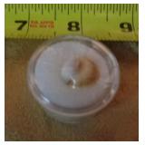 INDIAN GOMTI CHAKRA NATURAL 7.65 CT INDIAN GOMTI CHAKRA NATURAL 7.65 CT