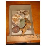 FOSSIL ROCKS & MINERALS FOSSIL ROCKS & MINERALS