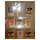 9-SPORTS CARDS - HOCKEY - SEE DESCR