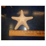 STARFISH SHELL