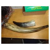 2 - HORNS