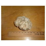 GEODE GEODE