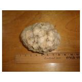 GEODE GEODE