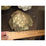 GEODE GEODE
