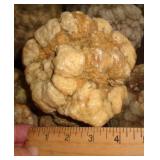 GEODE GEODE