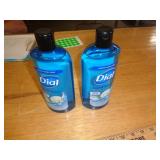 2 - DIAL HAND SOAPS