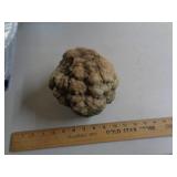 GEODE / UT GEODE / UT