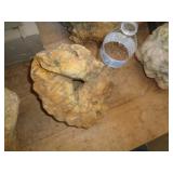 GEODE