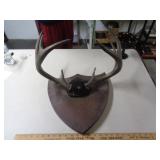 MOUNTED ANTLERS