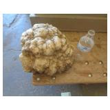 GEODE