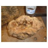 GEODE
