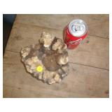 GEODE