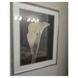 TULIP PRINT / BTHRM 2 TULIP PRINT / BTHRM 2