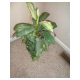 ARTIFICIAL PLANT / BR2 ARTIFICIAL PLANT / BR2