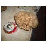 GEODE