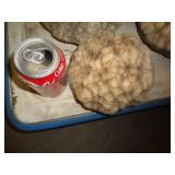 GEODE