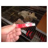 2 BLADE POCKET KNIFE