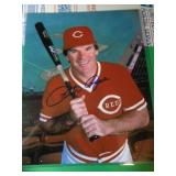 PETE ROSE  - 8X10 W CERT / NOT FRAMED