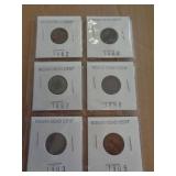 6 - INDIAN HEAD CENTS