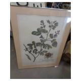 ART PRINT - 30X38 ART PRINT - 30X38